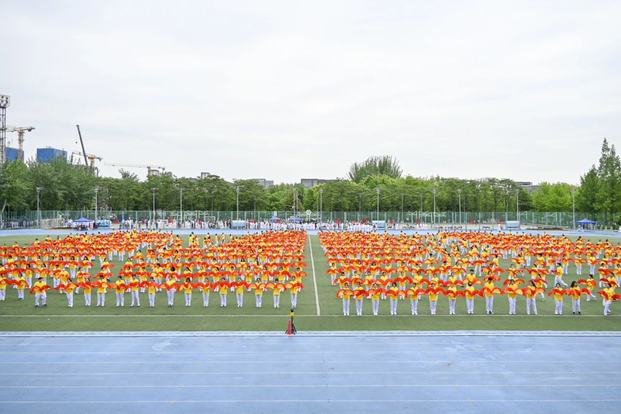 28圈(中国游)官方网站