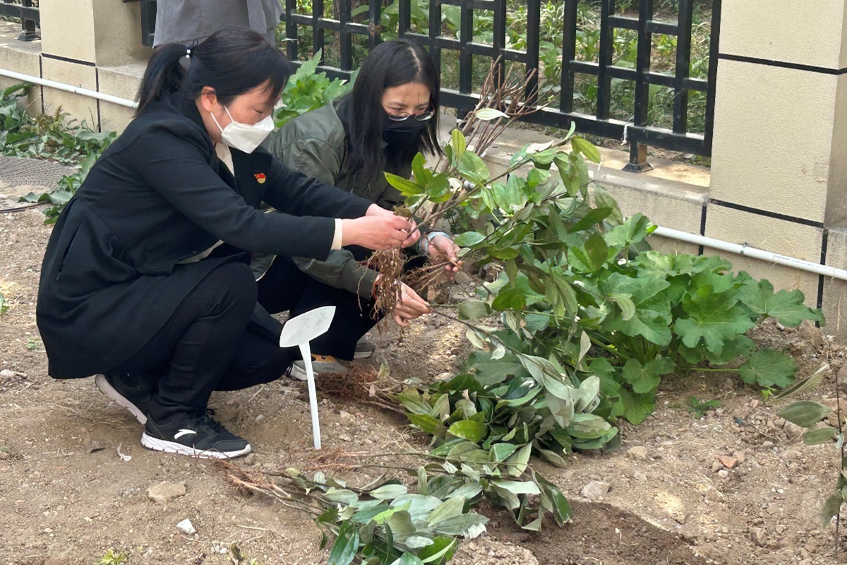 28圈(中国游)官方网站